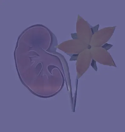 Szewczyk Wojciech, doc. Spec. urolog